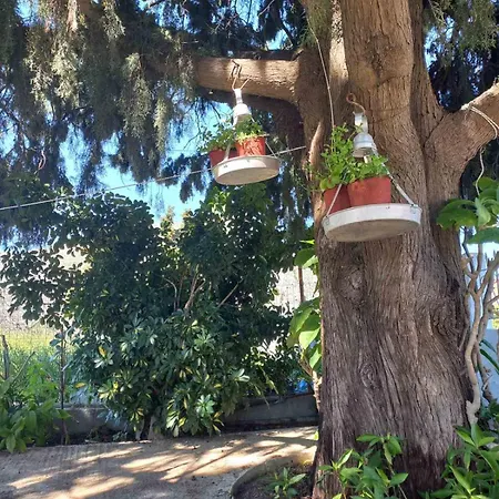 Σπίτι διακοπών Maria's Garden House Αρχάγγελος